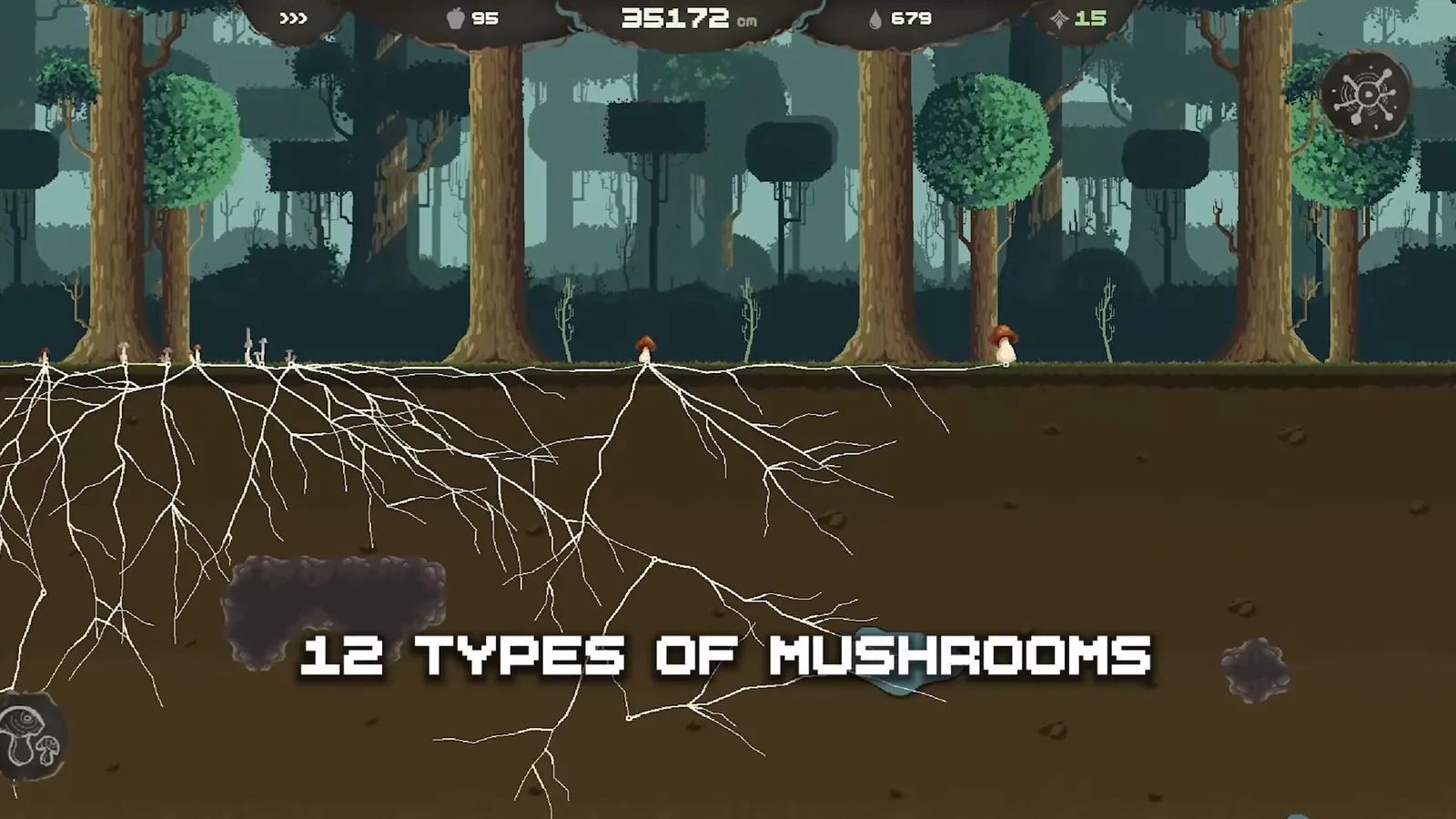 Mycelarium trailer frame with overlay text 12 types of mushrooms above surface trees, small mushrooms, and hyphae below
